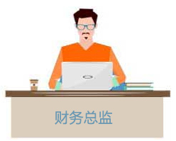 财务总监