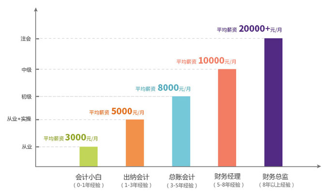会计统计图