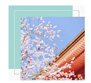 網(wǎng)絡課程日語
