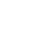 強(qiáng)大師資