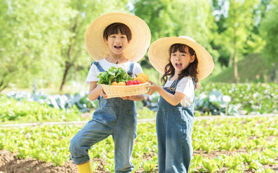 招生對(duì)象