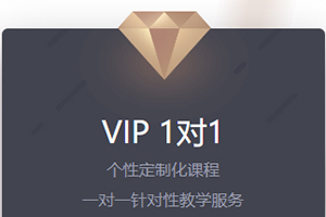 VIP 1對1