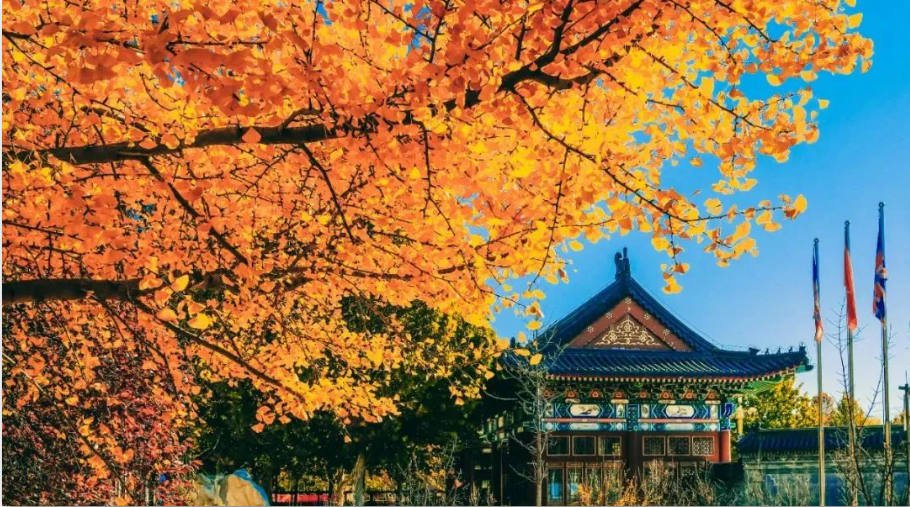 新增雅思考點(diǎn)！北京王府學(xué)校雅思機(jī)考考點(diǎn)11月開考！