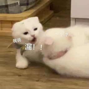 @大學英語四六級考生 考前需知:及格線可不是425!