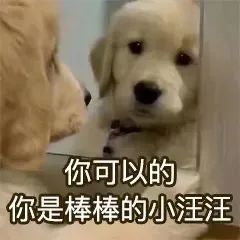 Alevel要想成绩好，这些方法少不了！