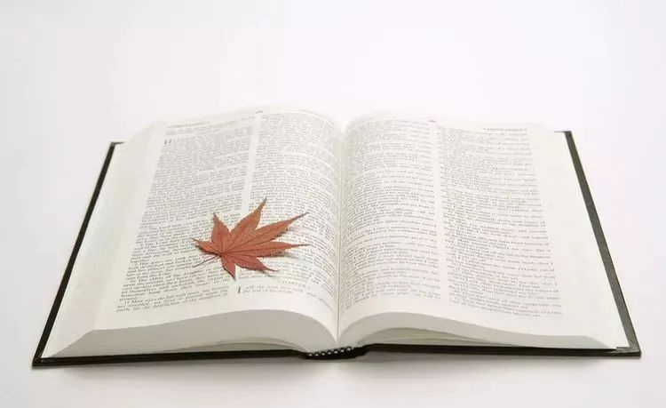 11月16、19、20日托福独立写作预测｜不要慌，不要慌，太阳下山有月光