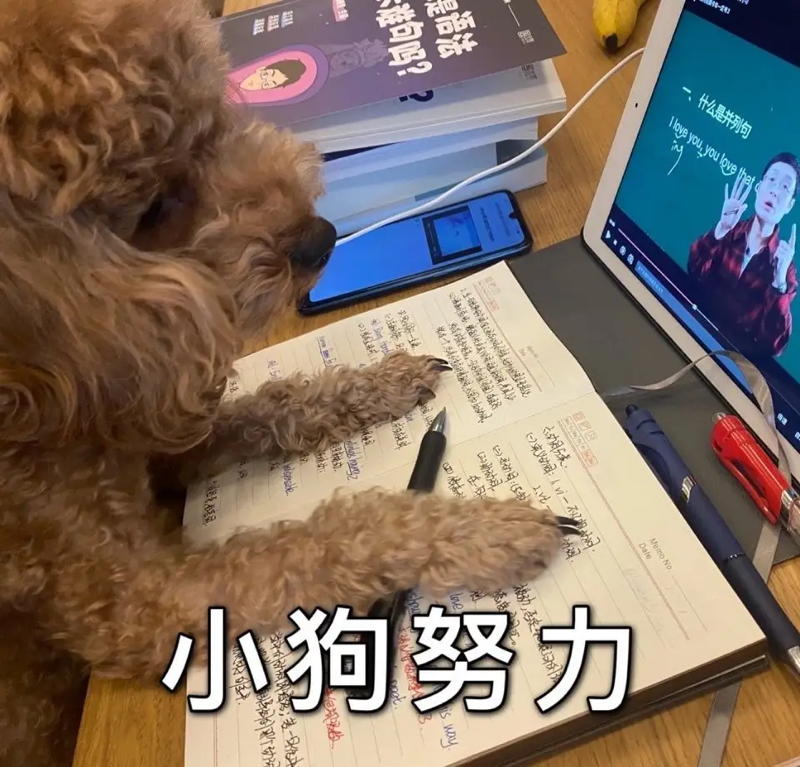 AS美国史需要掌握哪些内容？