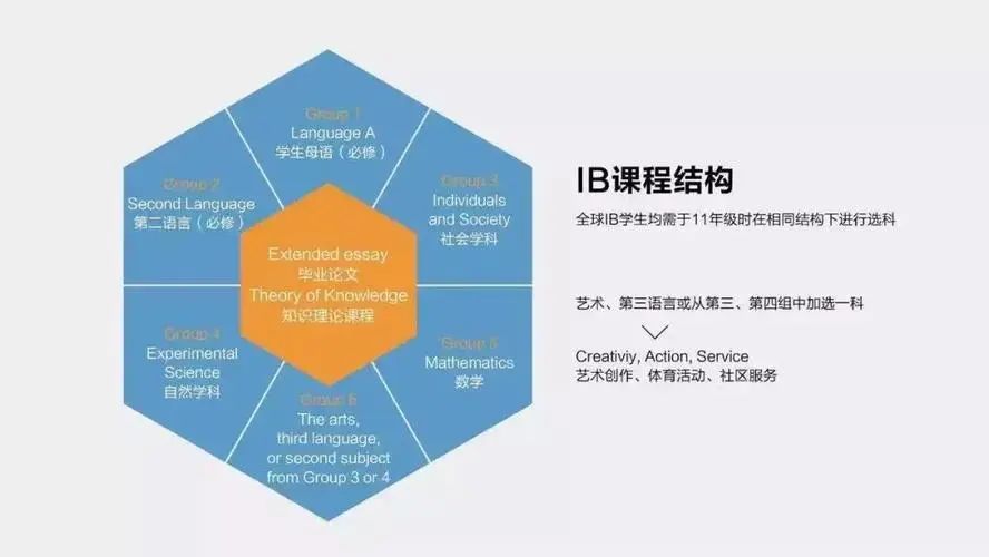 為何IB學生會更受頂尖大學青睞?一文告訴你真相!