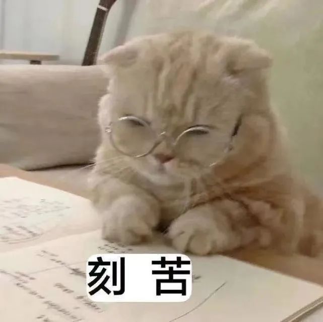 雅思備考幾個(gè)月才是最優(yōu)解？