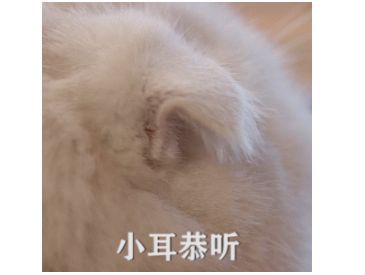 老外說“I'm all ears”可不是“我全是耳朵”,你真正意思居然是……
