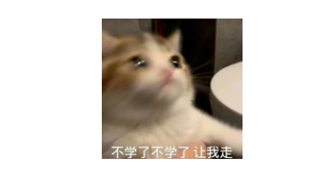 干貨分享!雅思閱讀8分經(jīng)驗(yàn)貼
