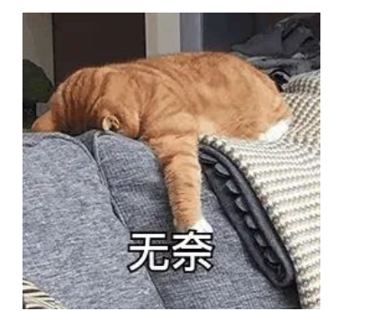 雅思7分,出國后如何能順利融入學(xué)習(xí)生活中?