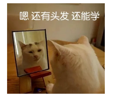 雅思7分,出國后如何能順利融入學(xué)習(xí)生活中?