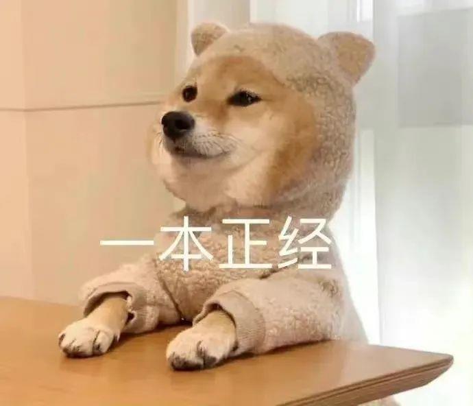 用爆火的ChatGPT给雅思满分作文打分，结果让人震惊！