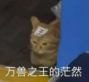 雅思考官偏好哪種口音？