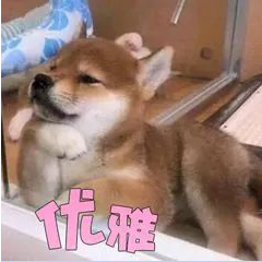 把雅思口語規(guī)則吃透了，就會簡單很多~