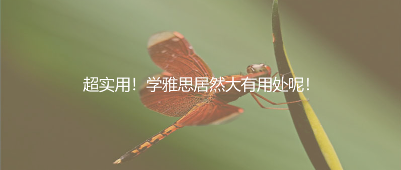 超实用！学雅思居然大有用处呢！