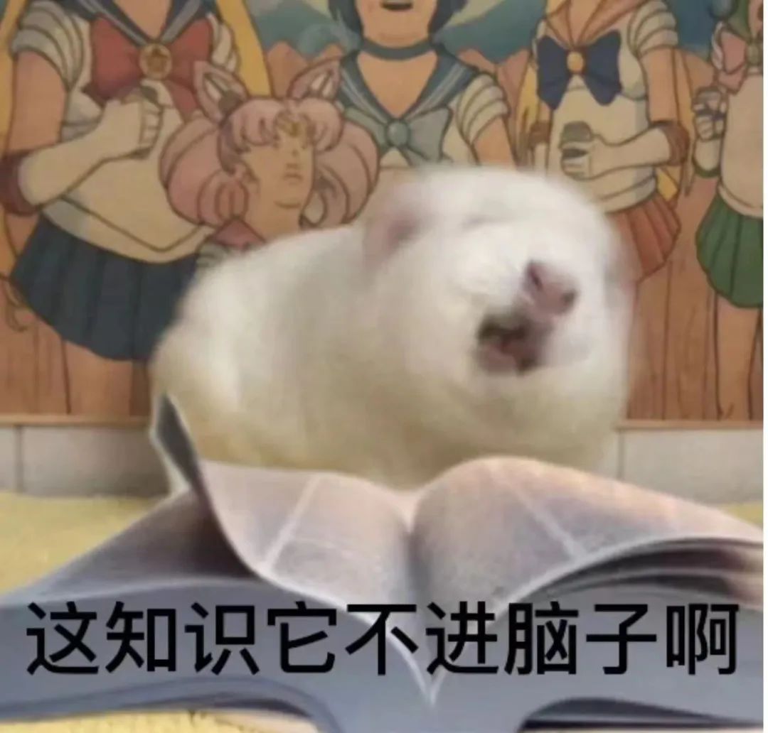 必看!把雅思單詞全背完,需要多少時(shí)間?