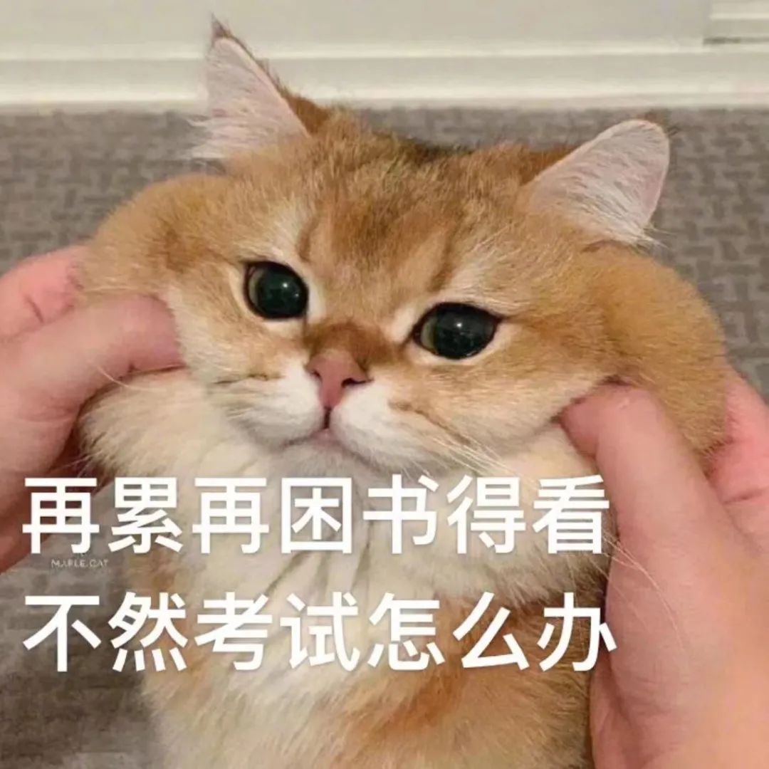 必看!把雅思單詞全背完,需要多少時(shí)間?