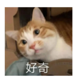 去英語為母語的英國國家考試，雅思分?jǐn)?shù)會下降嗎？