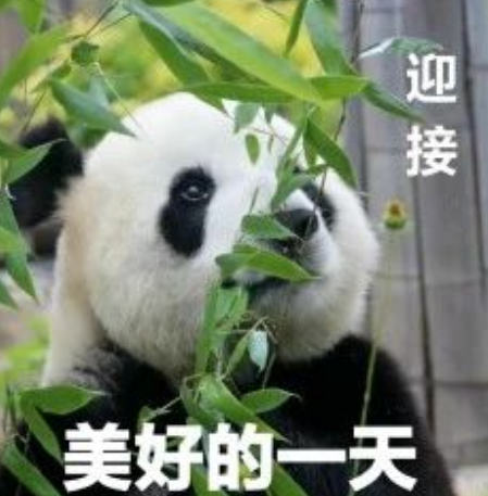 為什么雅思口語題庫里的題目都練習(xí)一遍,但能力卻沒提高?