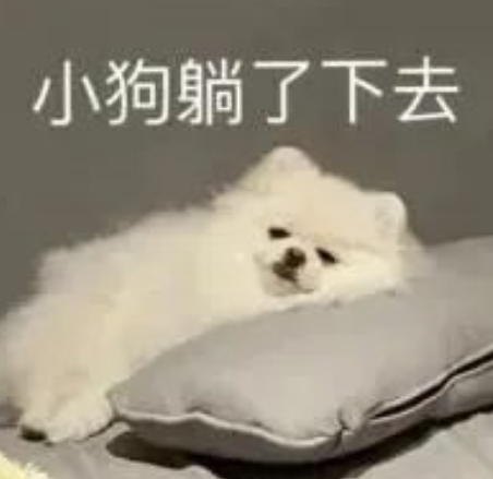 為什么雅思口語題庫里的題目都練習(xí)一遍,但能力卻沒提高?