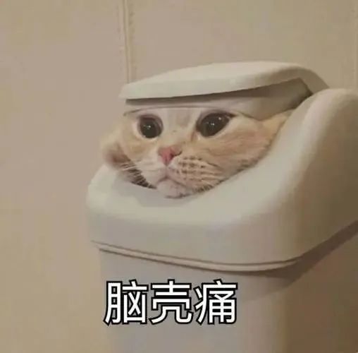 四六級對未來還有多大用處?