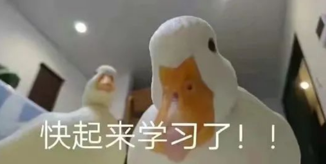 面对即将到来的暑假，托福该如何备考？