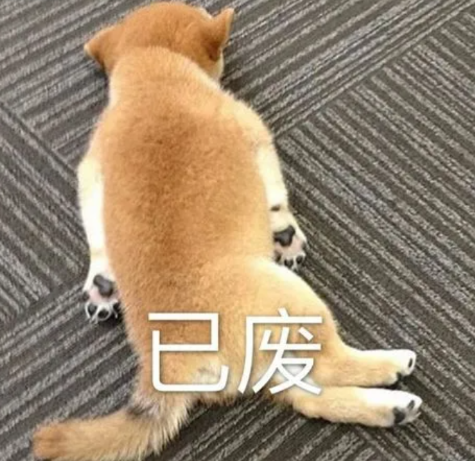 为什么都说雅思6.5分出国留学看似够实则不够呢？