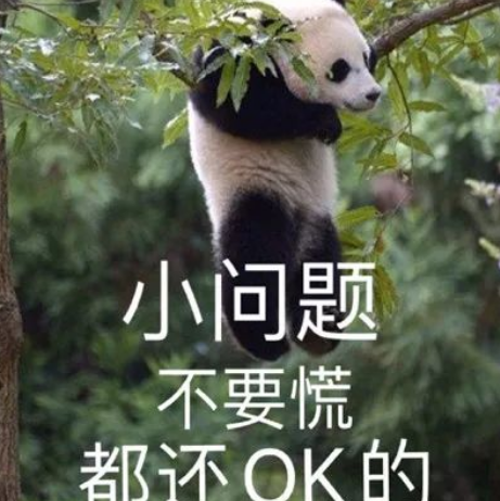 为什么都说雅思6.5分出国留学看似够实则不够呢？