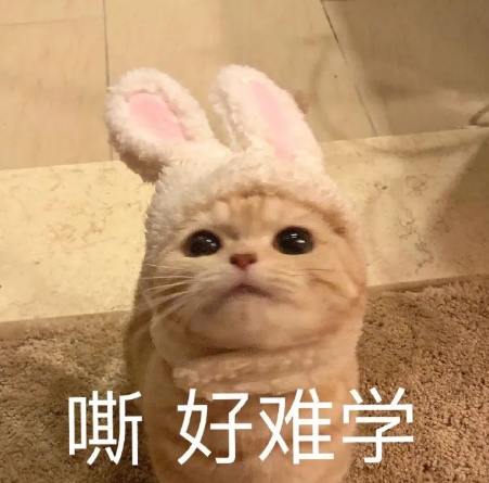 为什么都说雅思6.5分出国留学看似够实则不够呢？