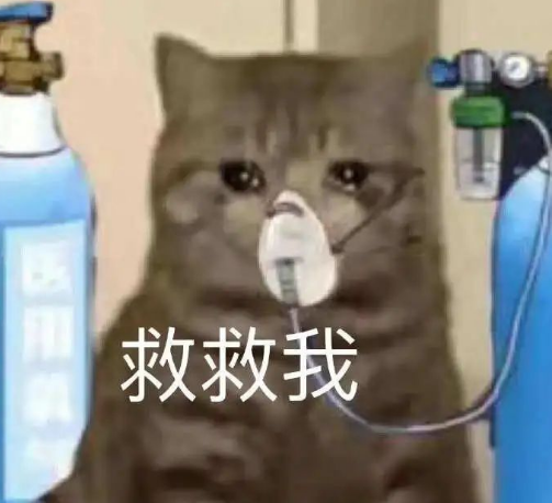 想要告別雅思,到底要考多少次?