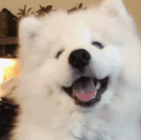 刷了很多GRE填空題,但是正確率還是上不去?