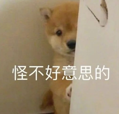 那些其它國家或地區(qū)的考鴨,都是怎么備考雅思的呢?