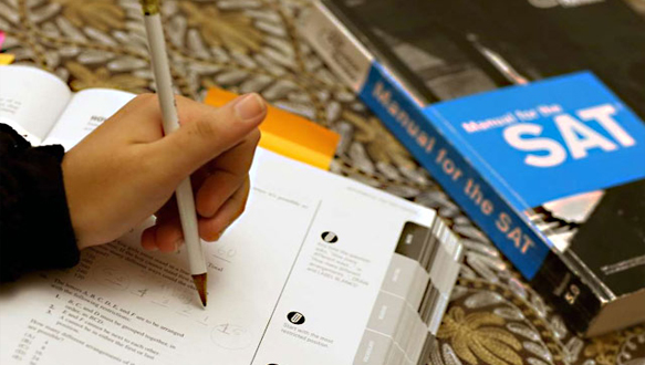  英语基础能力提升