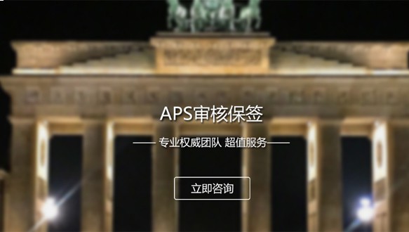 APS審核指導(dǎo)
