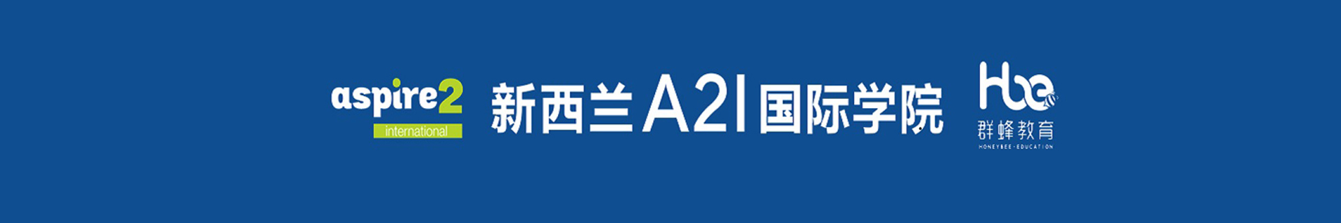 成都群蜂