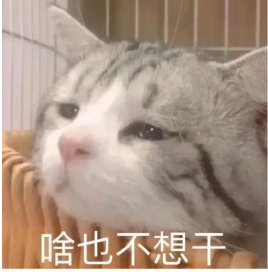 被逼瘋了！史上最奇葩的口語(yǔ)考官大集合！