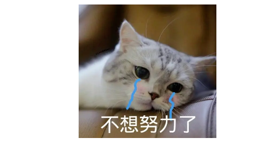 雅思口語中“擺爛”“躺平”“內(nèi)卷”等熱詞,如何表達(dá)嗎?