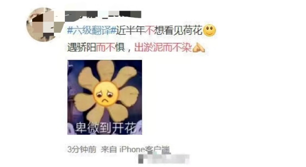 雅思干貨!考生英文翻譯翻車現(xiàn)場!拔苗助長和亡羊補(bǔ)牢怎么翻譯?