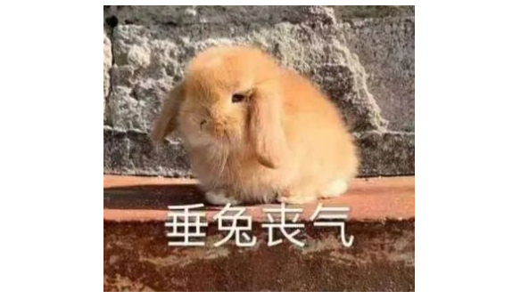 雅思干貨!考生英文翻譯翻車現(xiàn)場!拔苗助長和亡羊補(bǔ)牢怎么翻譯?