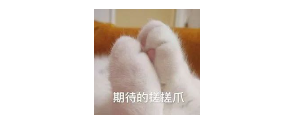 雅思最容易提分的是哪一项？