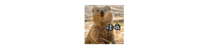雅思口語(yǔ)4.5分-7分考鴨有何表現(xiàn)???真實(shí)到扎心...
