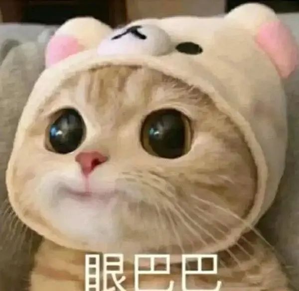 備考雅思時(shí),真的不要做這些無(wú)用功啦!