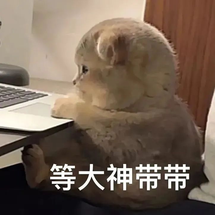 裂開!雅思5分,留學體驗能有多尷尬!
