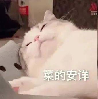 裂開!雅思5分,留學體驗能有多尷尬!