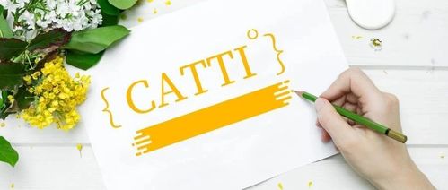 CATTI國際版證書怎樣兌換韓國ITT證書 ?