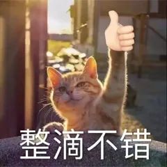 注意啦！IB三年总结的血泪选课建议！