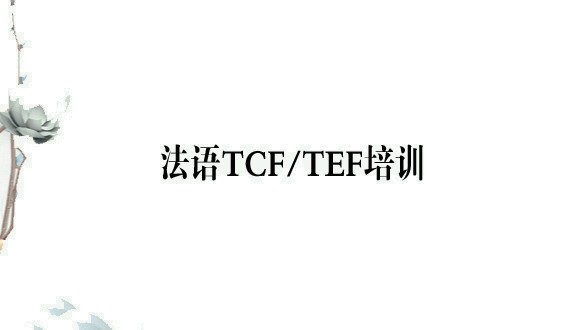 法比加法语TCF/TEF培训