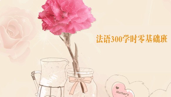 法比加法语300学时精品口语班
